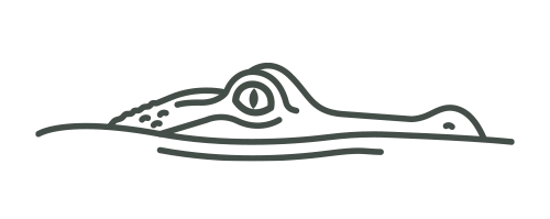 symbolique crocodile logo