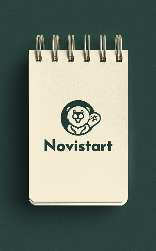 novistrat-logo identite visuelle entrepreneur